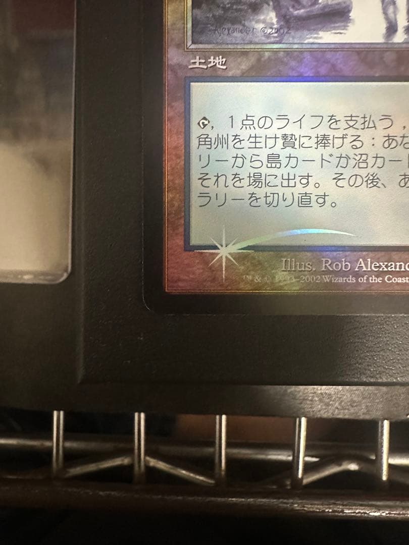 汚染された三角州　日本語　初版　foil