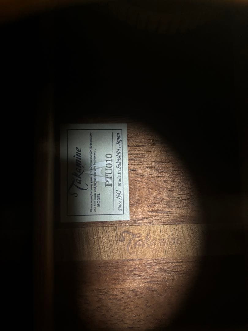 Takamine アコースティックギターPTU010