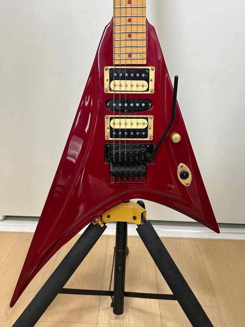 EDWARDS E-PV-143 PANTHERモデル ソフトケース付属