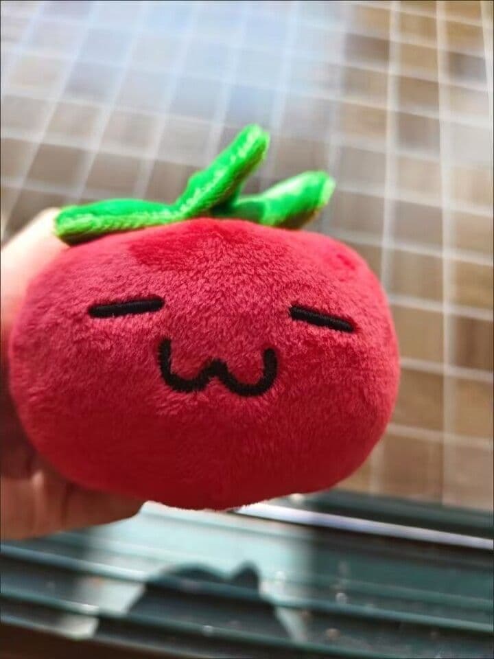 トマト型ぬいぐるみ