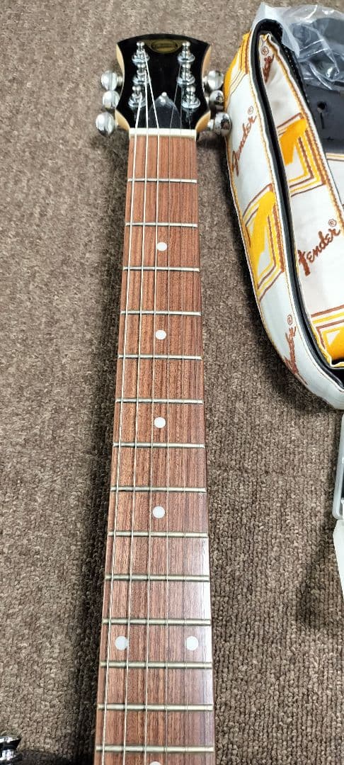 ラ*ン様 だ*ー様 Pignose ピグノーズ PGG-200 アンプ内蔵エレキ