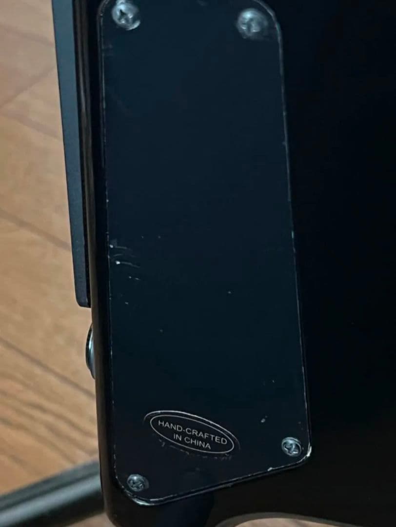 Steinberger Spirit GT-PRO Deluxe 美品