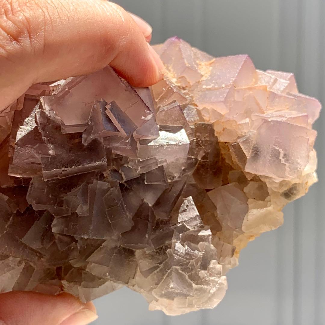 新着！スーパーキュートなフローライト原石V/鉱物標本