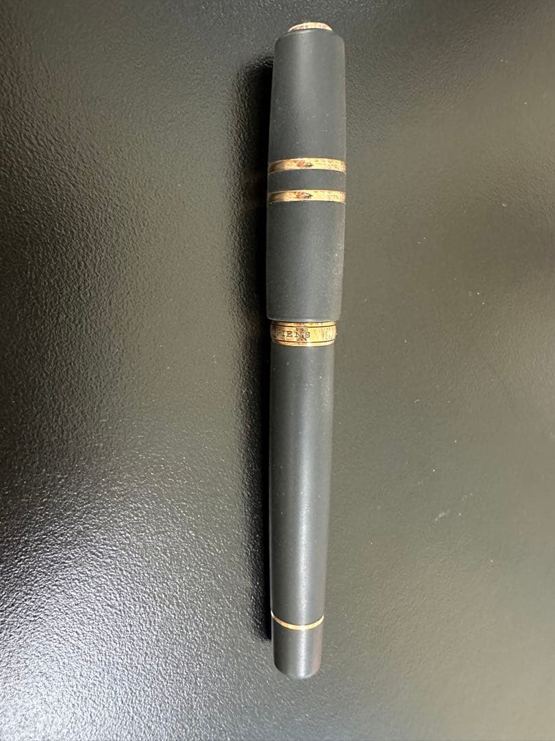 VISCONTI ホモサピエンス ブロンズ 万年筆 専用ボックス付き