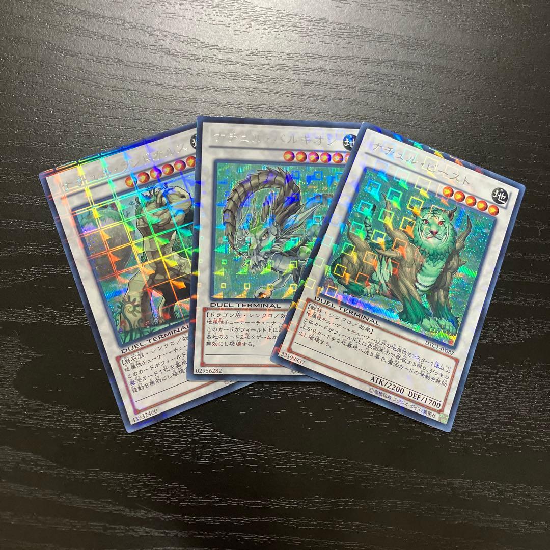 遊戯王　ナチュルシンクロ　シークレットレア3枚セット【DTC版】