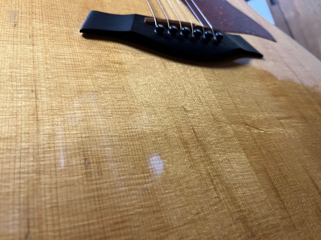 アコギ テイラー510