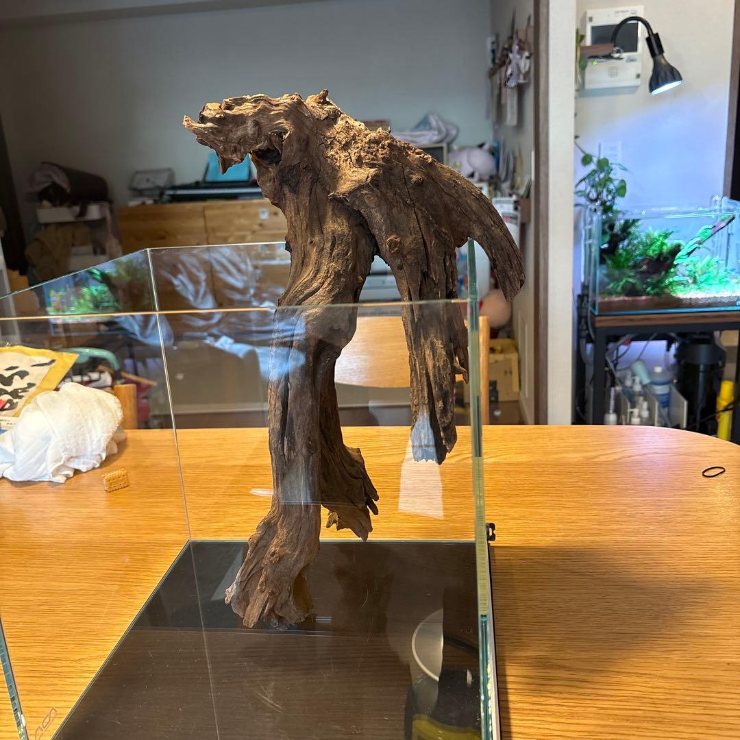 ADA流木　＊まとめ買いの場合は300円引き