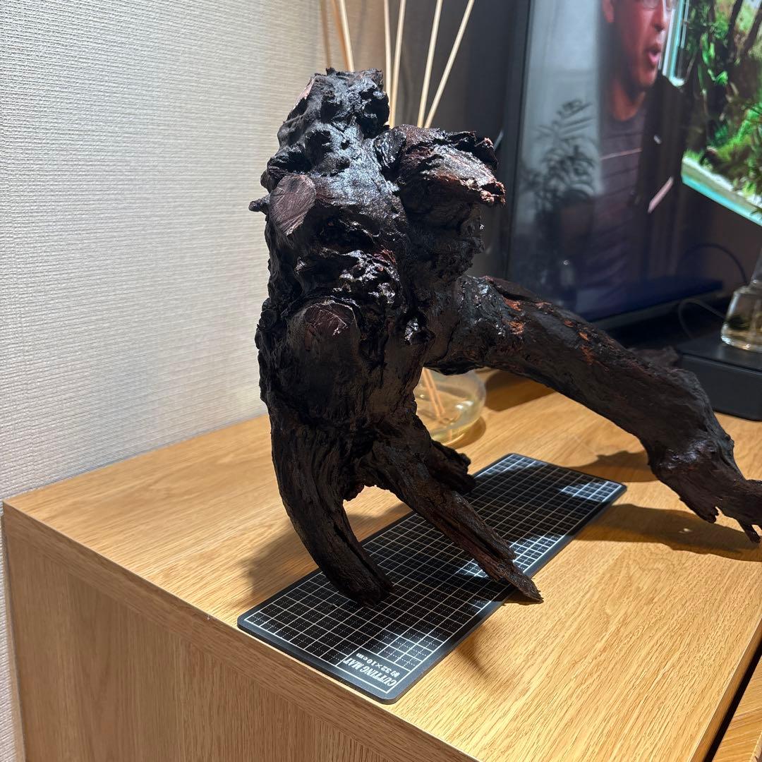 ADA流木　＊まとめ買いの場合は300円引き