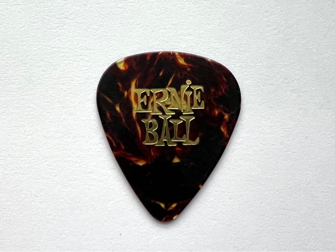 【希少】 Iron Maiden/Dave Murray/Guitar Pick