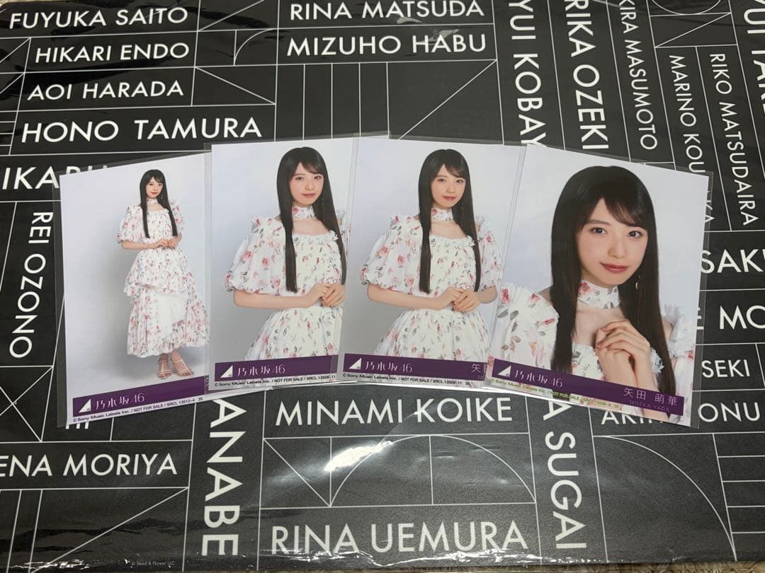 矢田萌華 生写真 My respect アルバム 封入 乃木坂46 セミコンプ