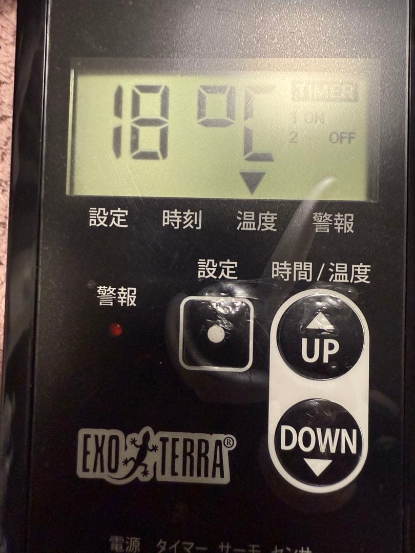 いまいずみページ