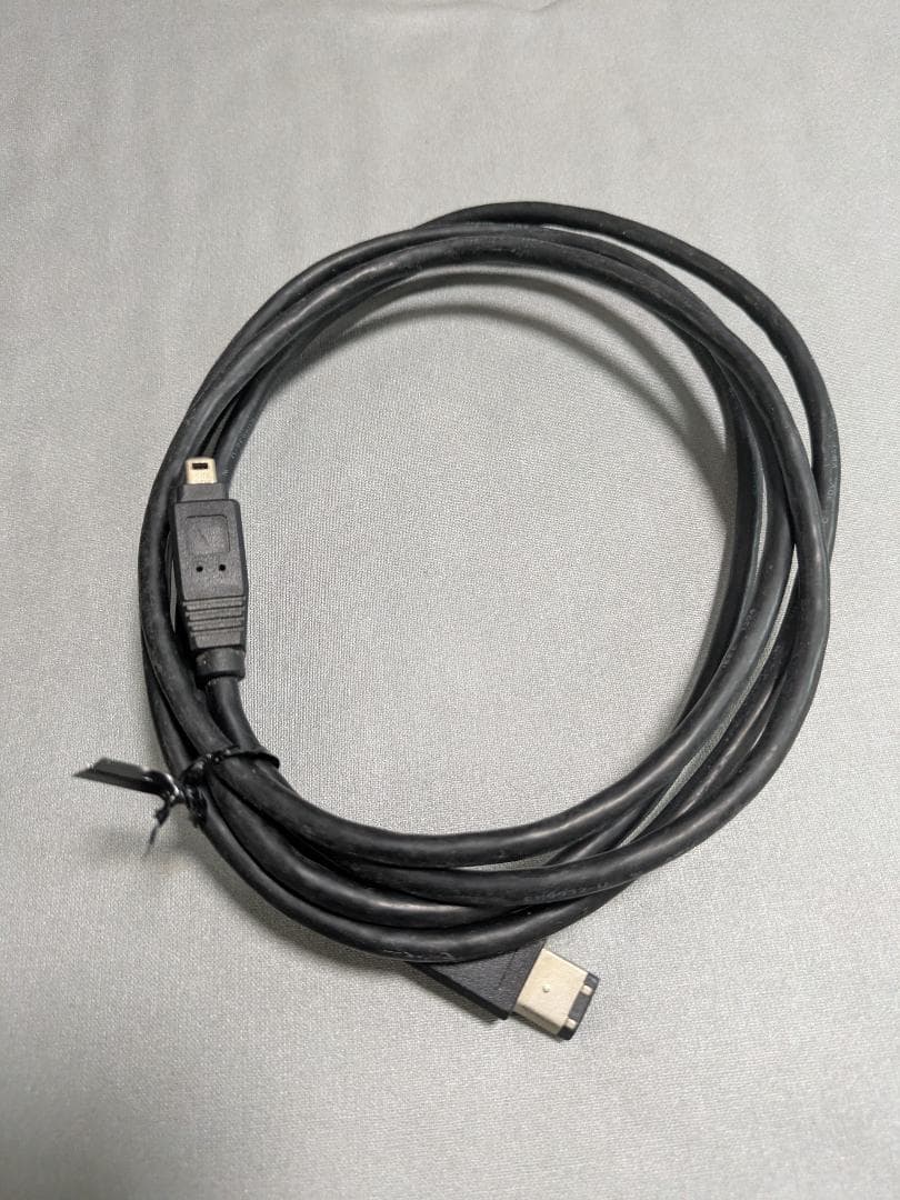 Canon Mini DV ビデオカメラ DM-FV M30 キャノン