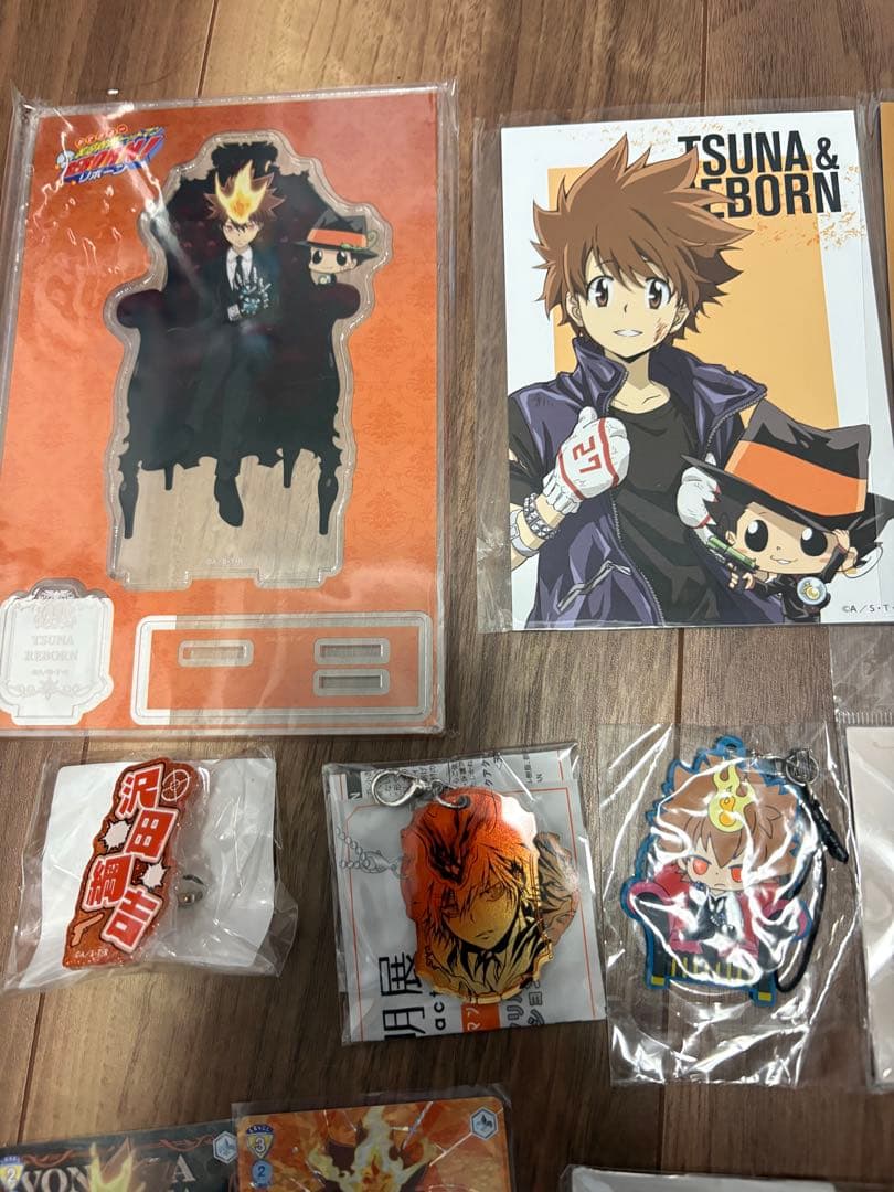 沢田綱吉　グッズセット　REBORN