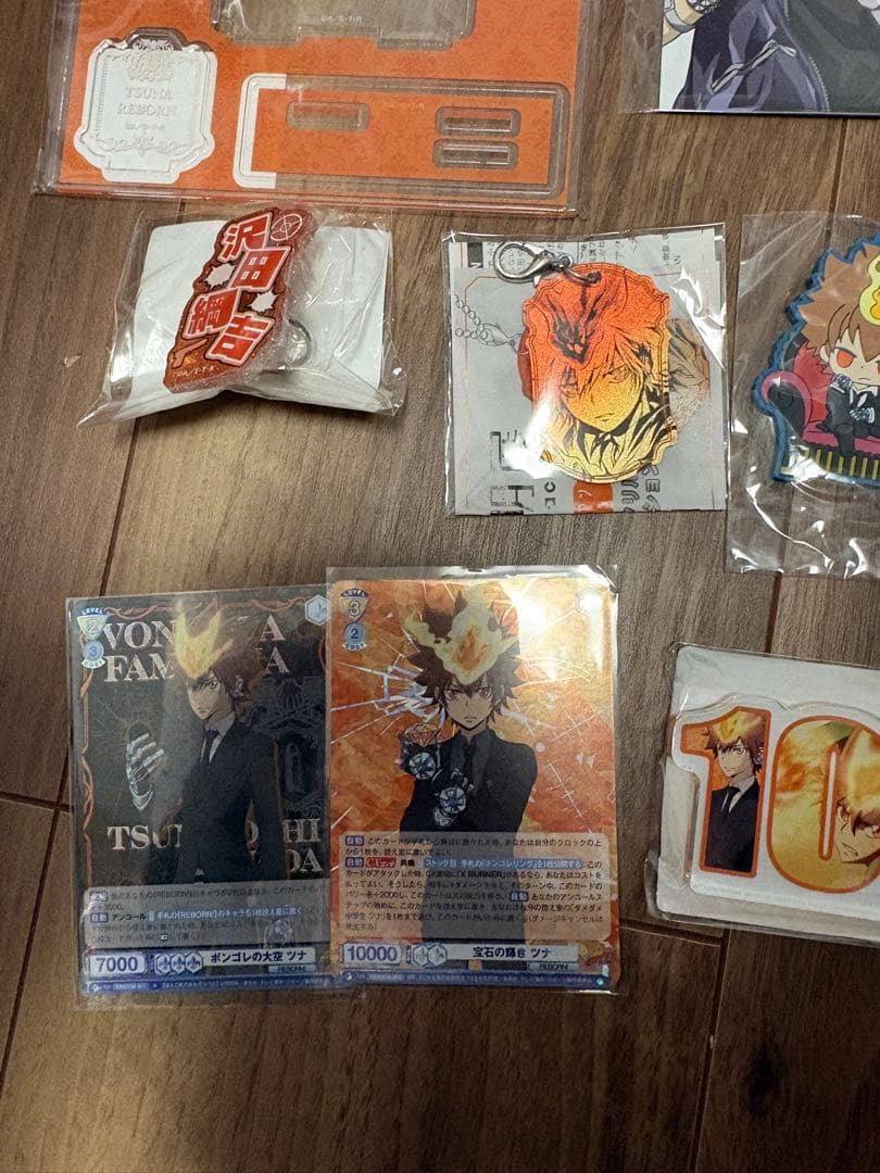 沢田綱吉　グッズセット　REBORN