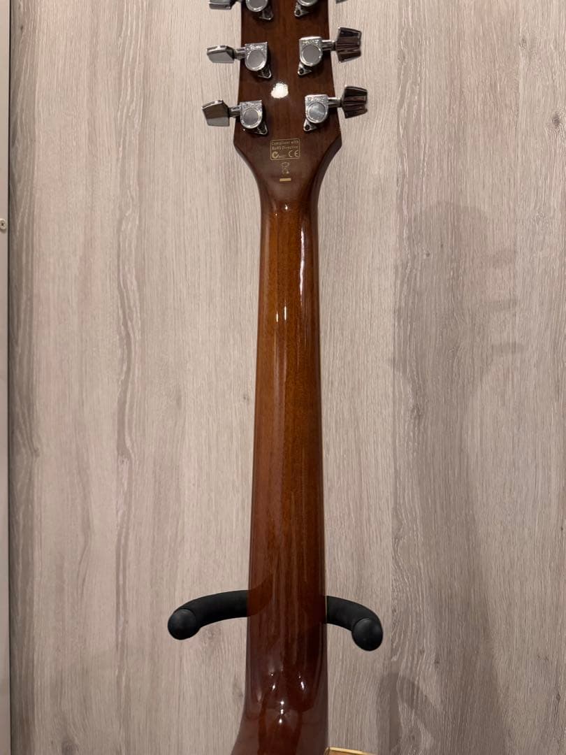 ibanez ew20koent1201 希少 エレアコ