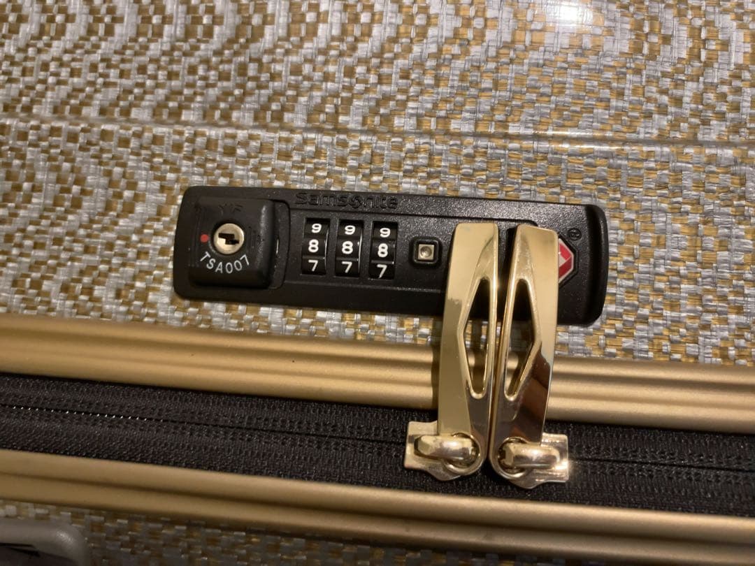 Samsonite スーツケース 94L 大型 10周年限定品