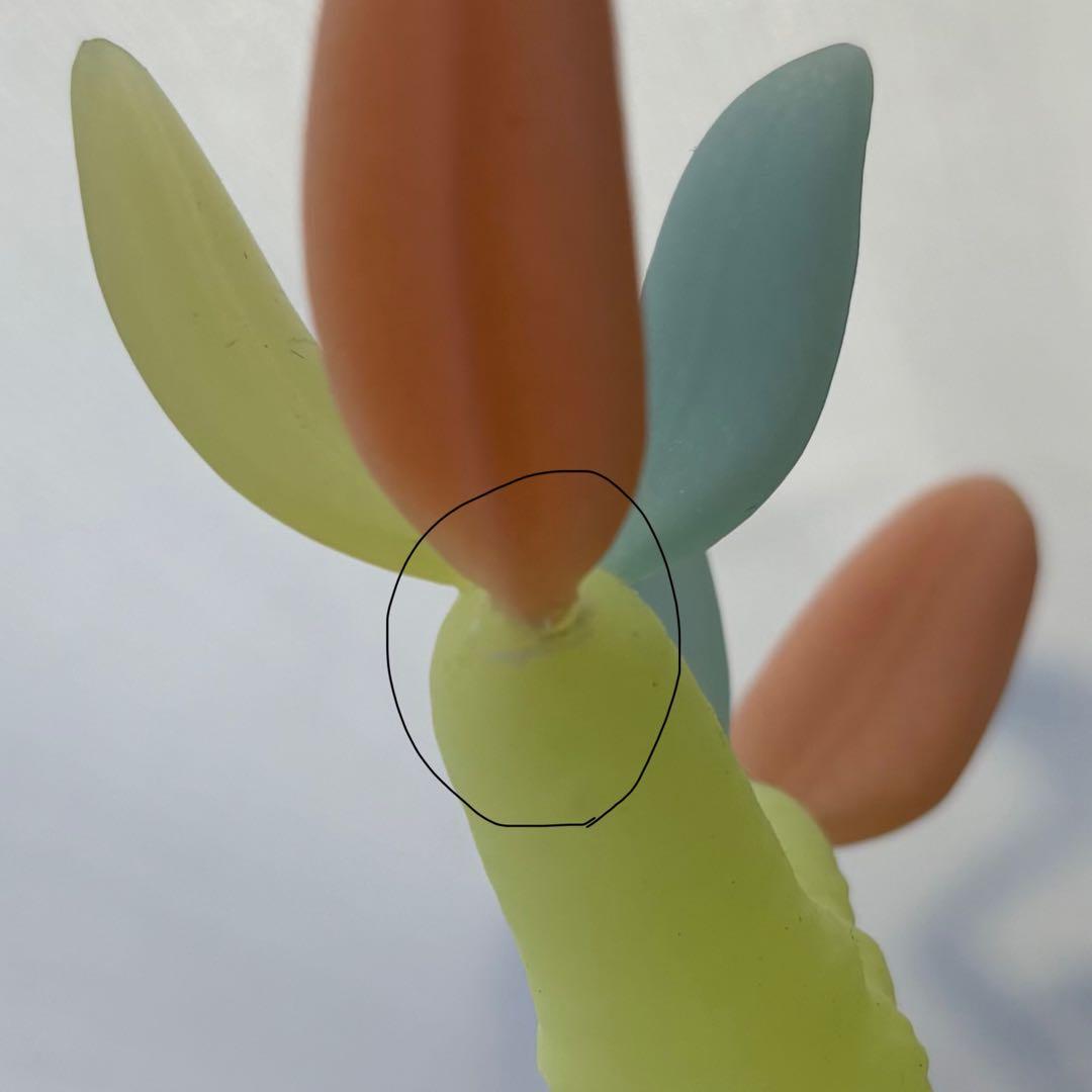 MEDICOM TOY × Botanize VCD