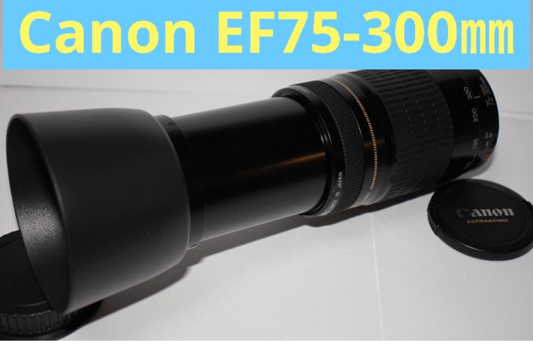 フード付き/望遠レンズ/CANON EF 75-300㎜ F4-5.6