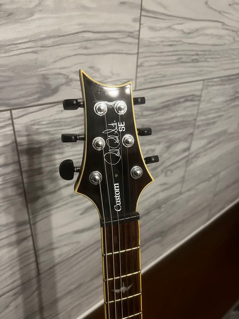 PRS SE Custom24 Ziricote 国内20本限定モデル