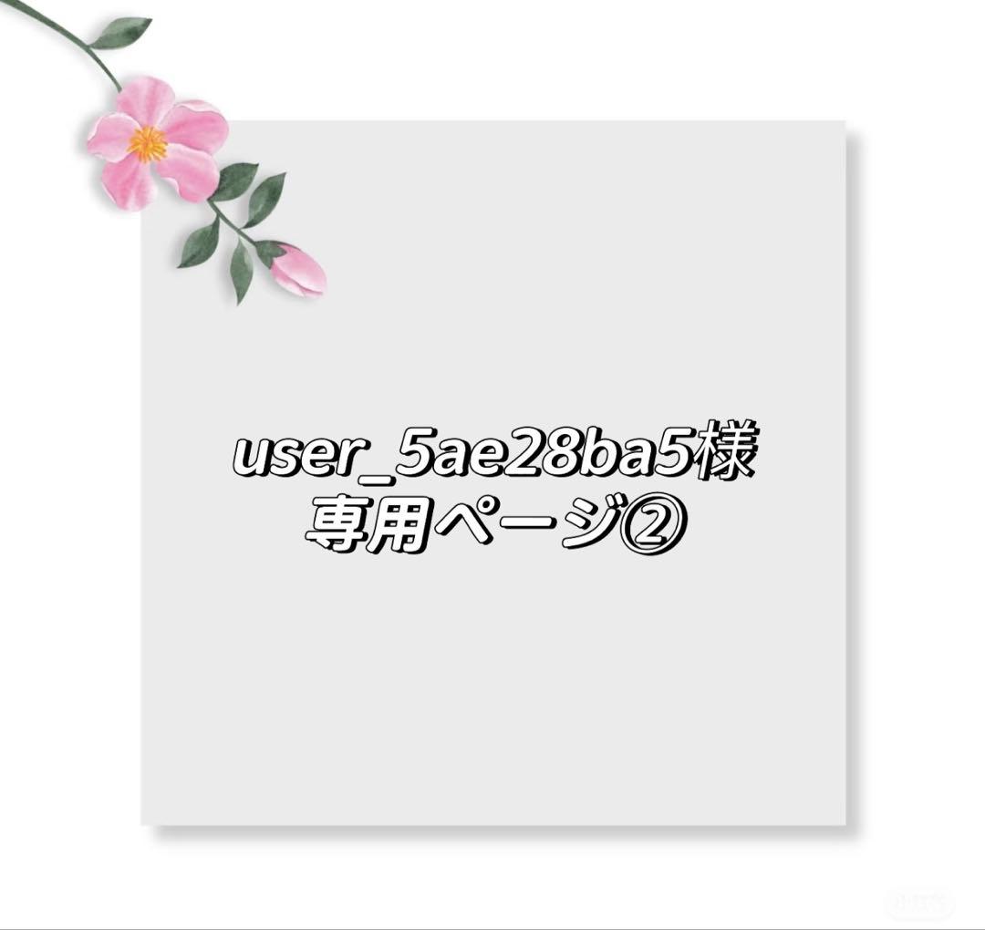 user_5ae28ba5ページ②