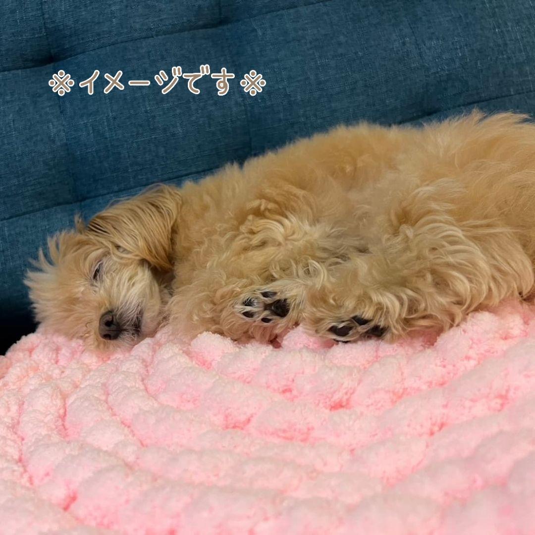 カフェマット  お昼寝マット ペットマット