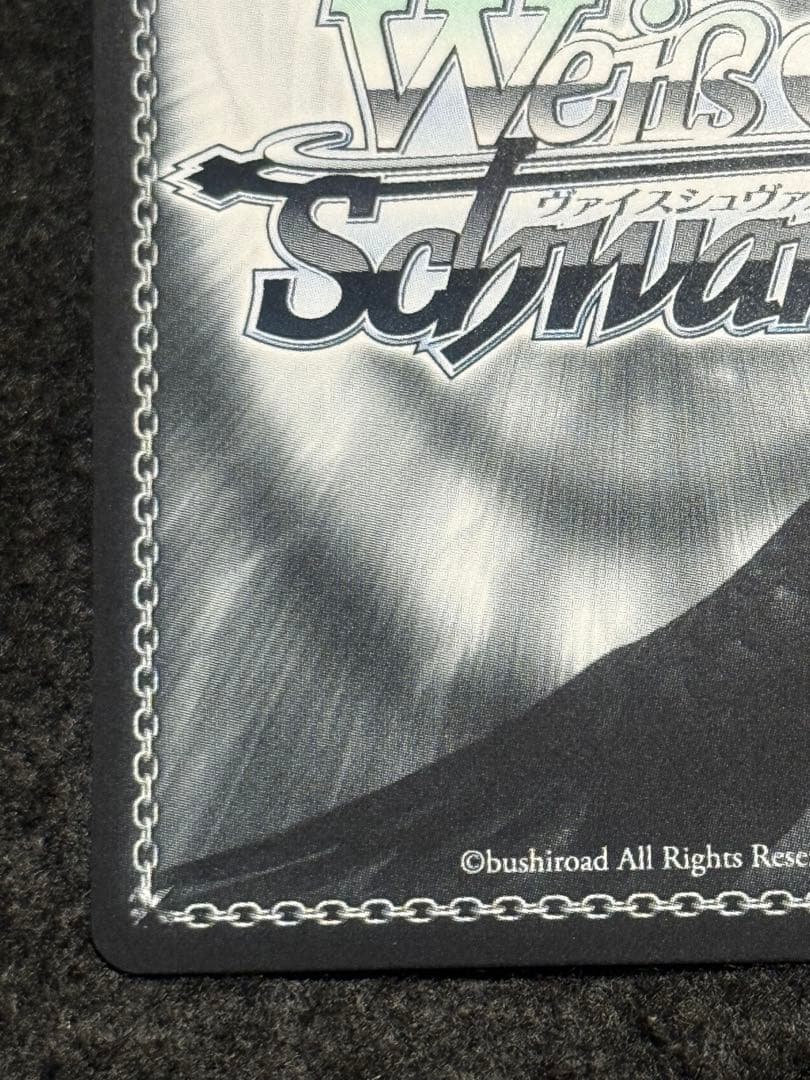 【マグネットローダー付き】キアサージ　sp