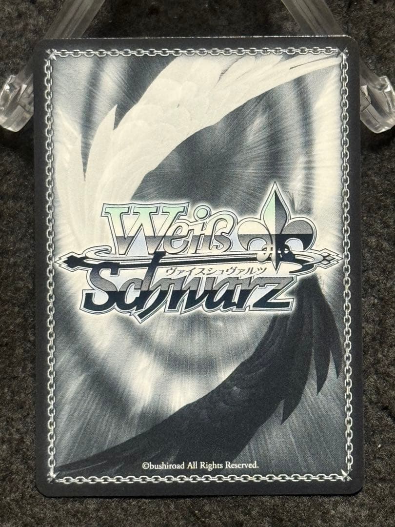 【マグネットローダー付き】キアサージ　sp