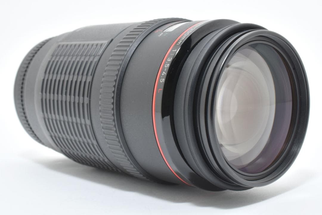 ★極上品★キヤノン EF 50-200mm f3.5-4.5 L #1460