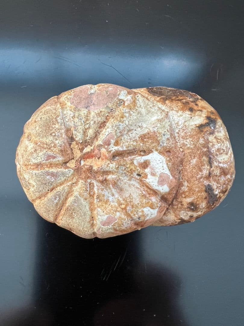 菊 香合 時代物 茶道具