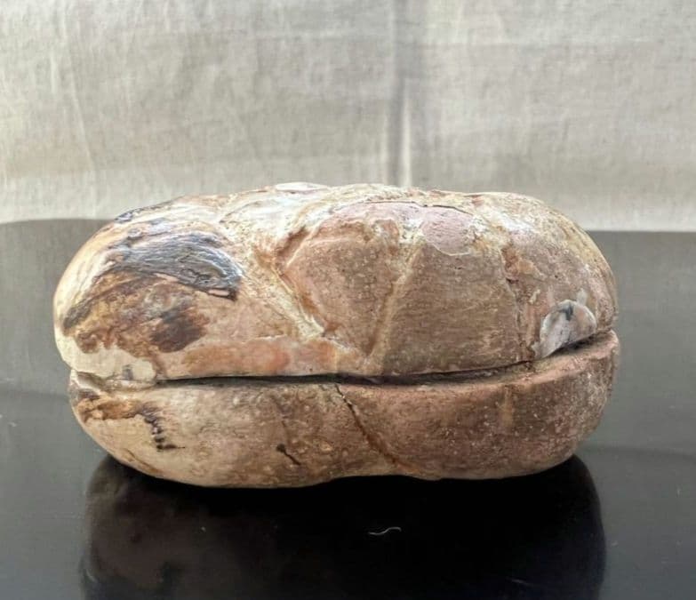 菊 香合 時代物 茶道具