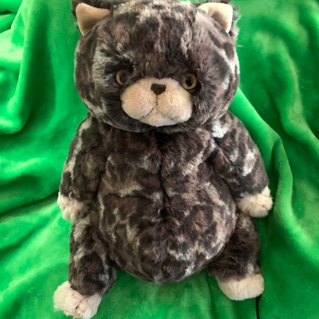 ひざねこ　お座り　ヒョウ