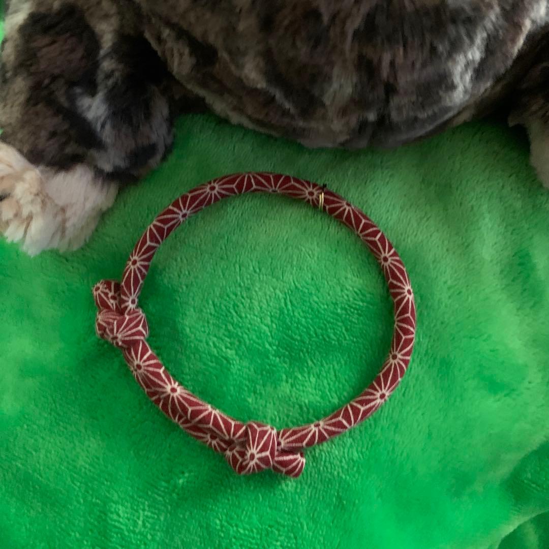 ひざねこ　お座り　ヒョウ