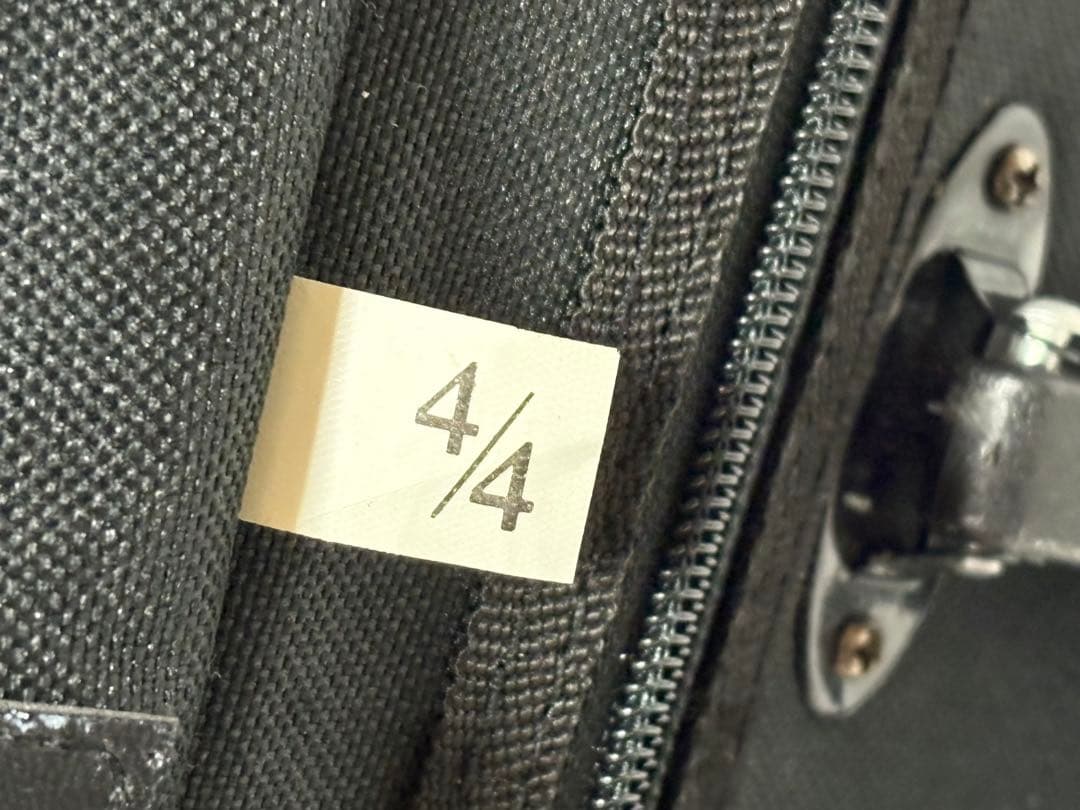 カルロ・ジョルダーノ　エレキバイオリン　CV-210E 美品1922-01-1