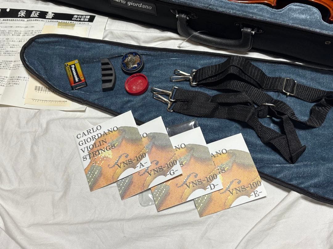 カルロ・ジョルダーノ　エレキバイオリン　CV-210E 美品1922-01-1