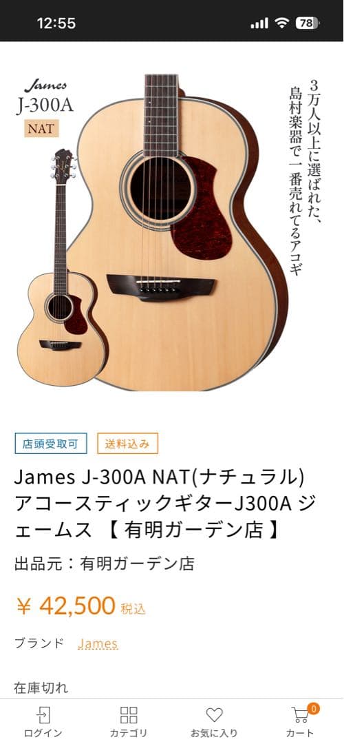 James J-300A NAT アコースティックギター
