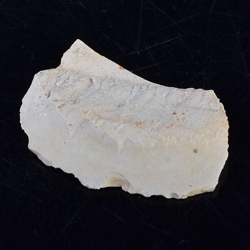 秋田県横手市出土　旧石器時代　陶片　土器　4点　C　R8566