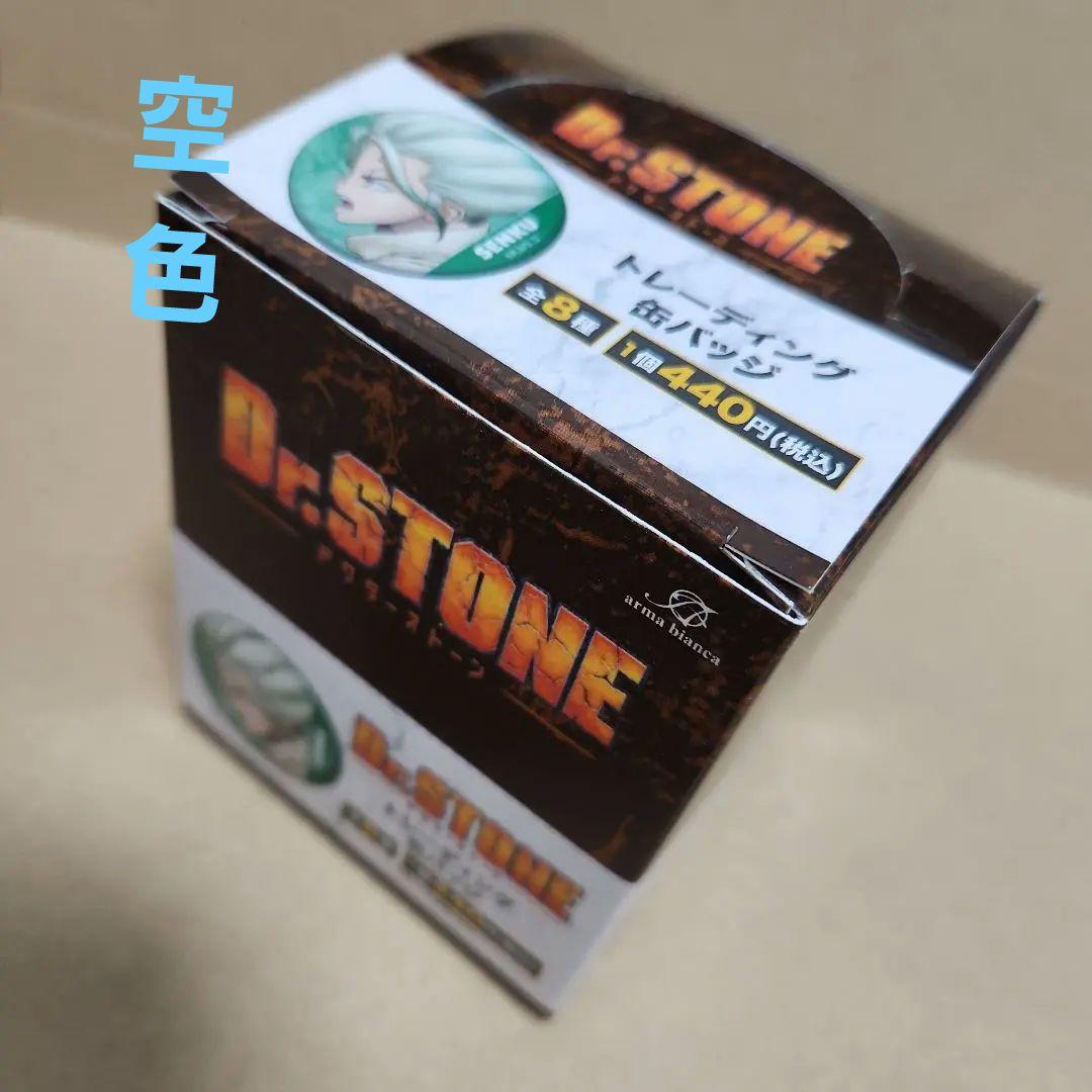 Dr.STONE トレーディング缶バッジ全種 箱付き