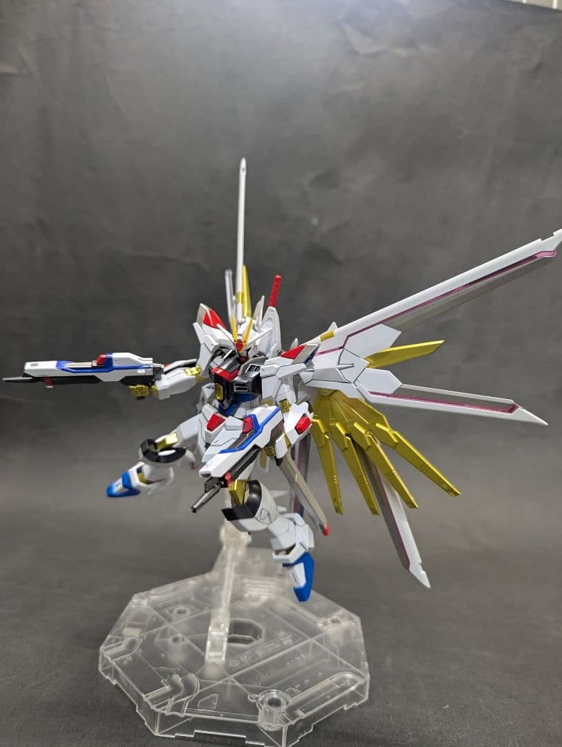 HGズゴック キャリアバーアイフリット、マイティーストライクフリーダム付き