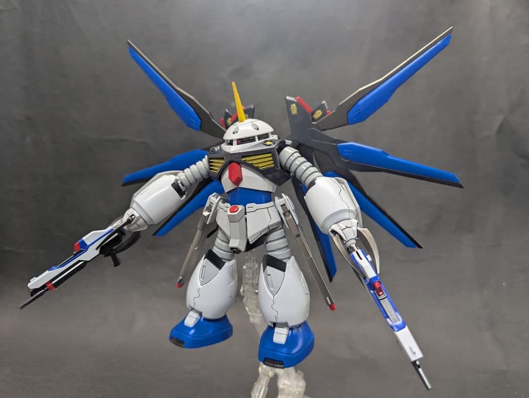 HGズゴック キャリアバーアイフリット、マイティーストライクフリーダム付き