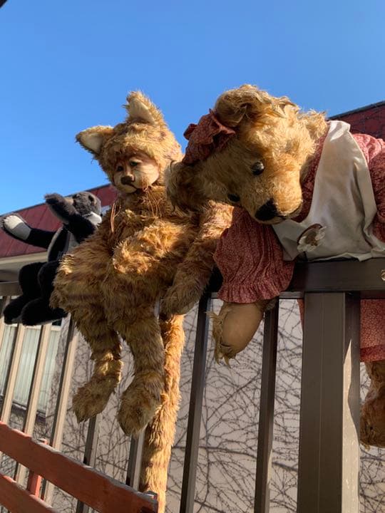 値下げテディベア　猫120センチ