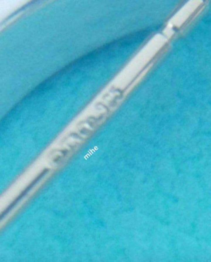 現行品 磨き済 ティファニー 1837 フープ ピアス スモール シルバー