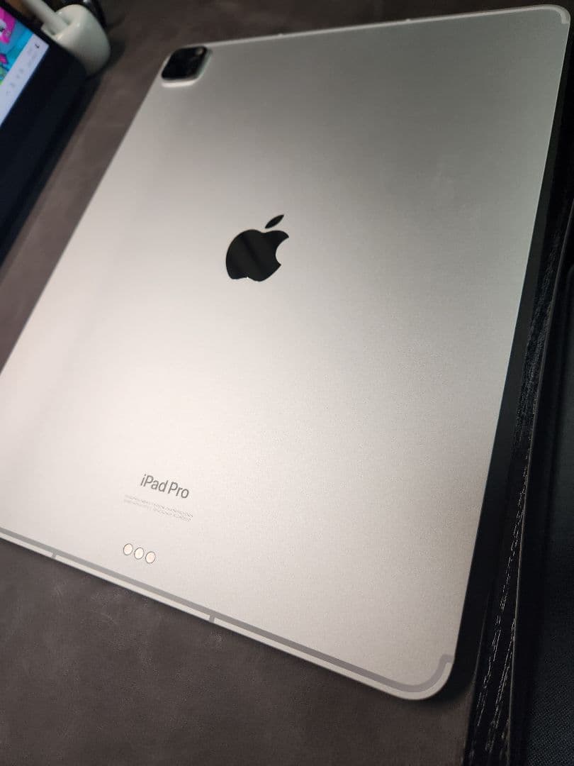 ipad pro 12.9 第6世代 512gb セルラーモデル　付属品多数