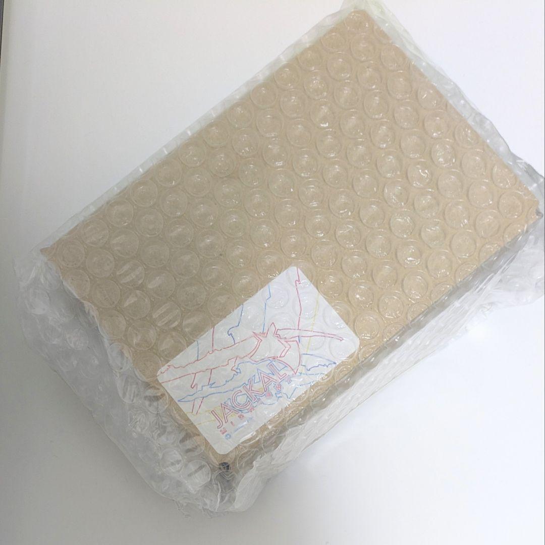 JACKAL MIDNIGHT neon stripe 新品　50台限定