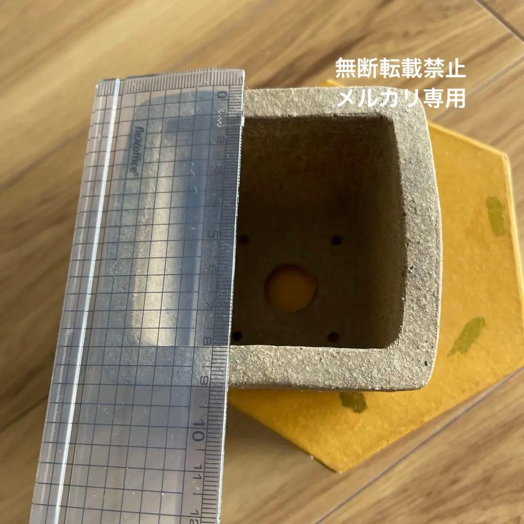 盆栽鉢　桑津香石　絵鉢　菖蒲　山野草　正方形