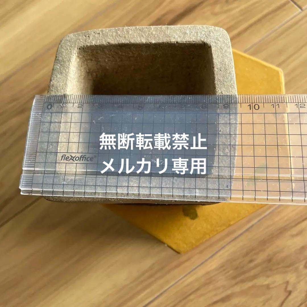 盆栽鉢　桑津香石　絵鉢　菖蒲　山野草　正方形