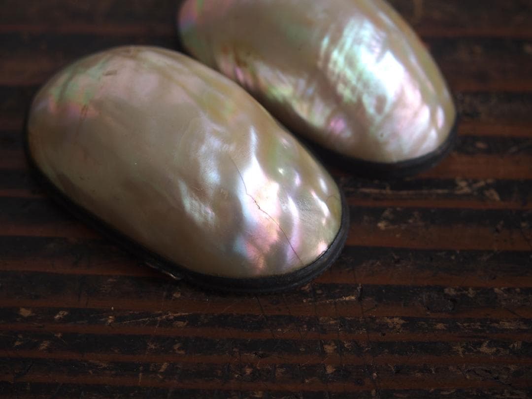 マザーオブパールのケース&ロザリオ 十字架 20世紀 聖遺物/K191