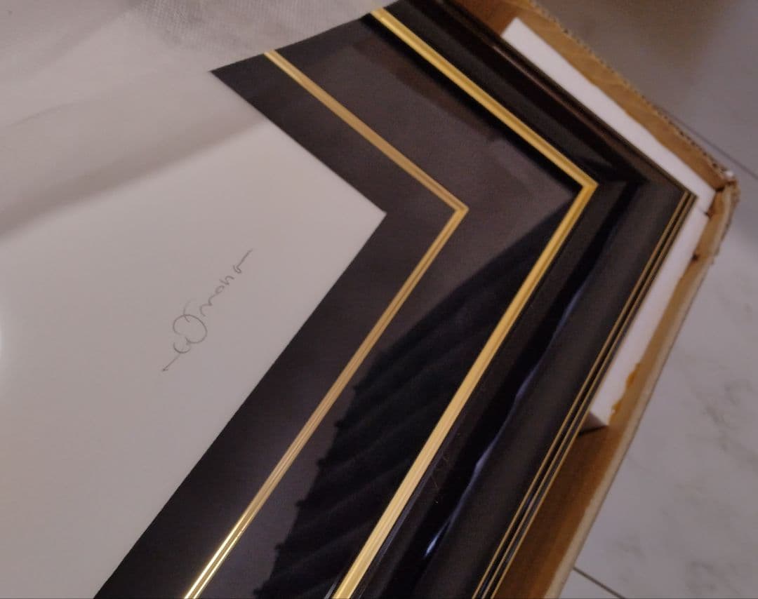 天野喜孝　版画　アーマーⅡ　ファイナルファンタジー　ティナ