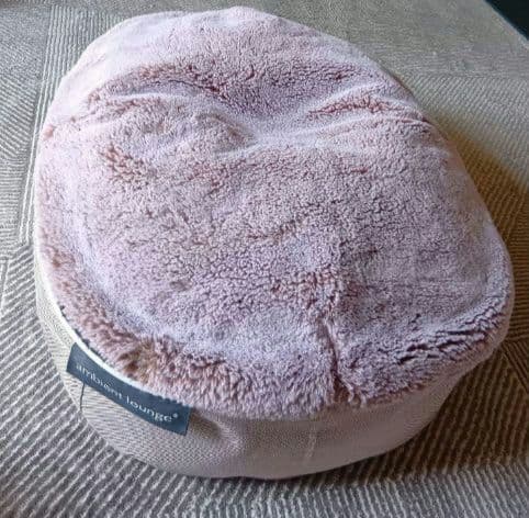 【ambient lounge】ペットラウンジ HIGH　Sサイズ　ベージュ