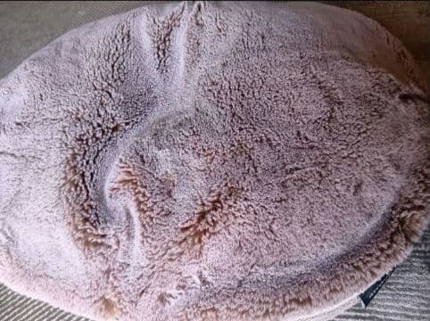 【ambient lounge】ペットラウンジ HIGH　Sサイズ　ベージュ