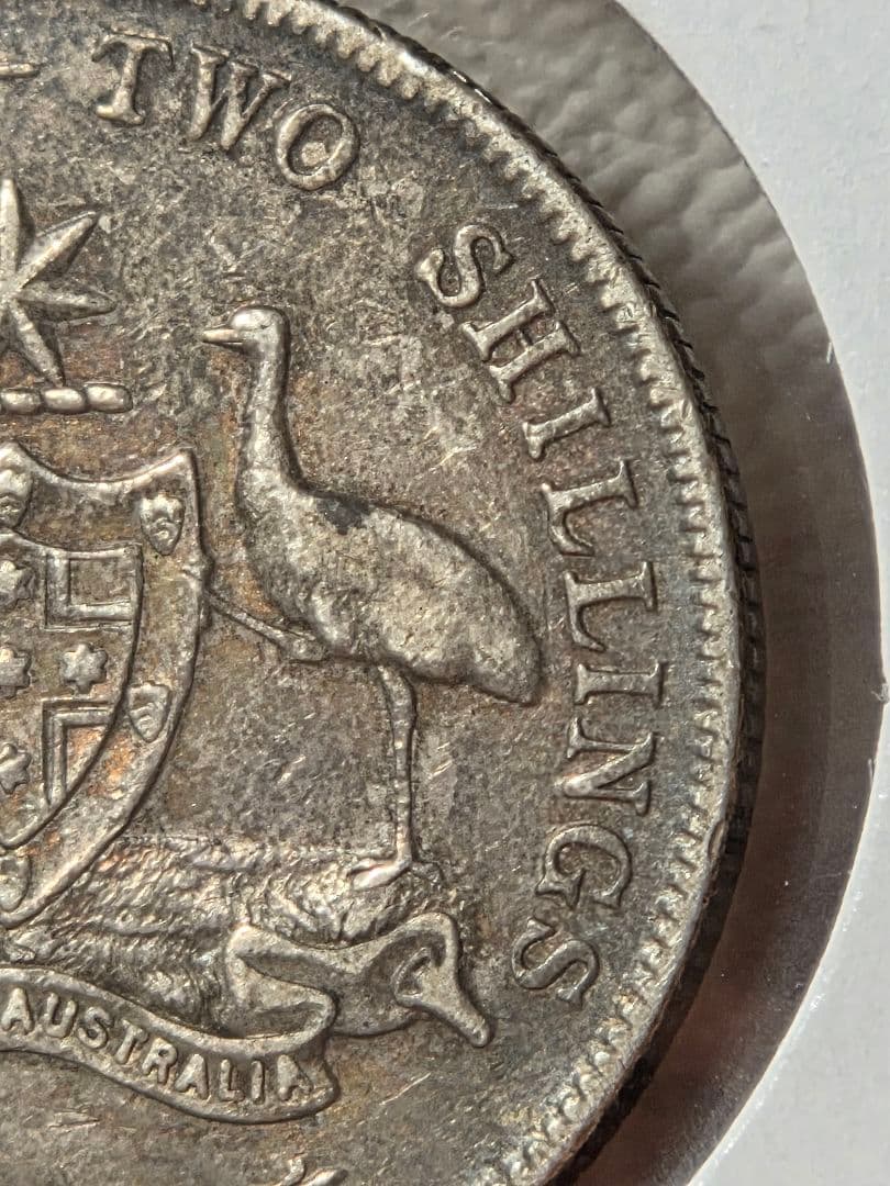 (稀少年号)オーストラリア連邦　ジョージ５世　1フローリン銀貨　1919 M